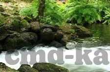 qq足球即使比分-QQ足球即时比分，球迷的掌上观赛神器与赛事分析宝典