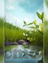 足球现场比分直播-足球现场比分直播，连接绿茵场与全球球迷的实时纽带